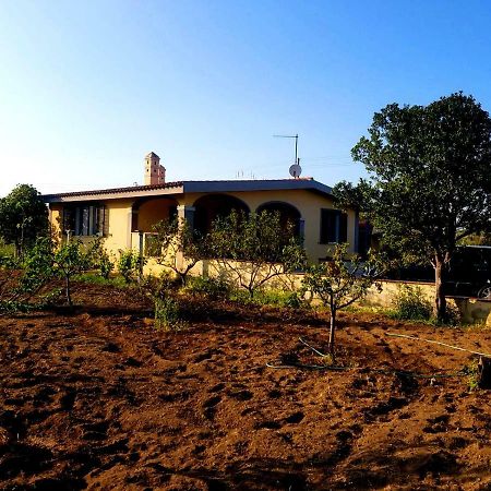 Villetta Su Barrali Орозеи Экстерьер фото