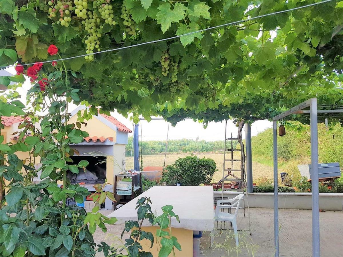 Villetta Su Barrali Орозеи Экстерьер фото
